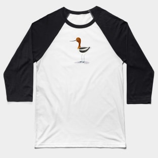 Avocet Bird Baseball T-Shirt